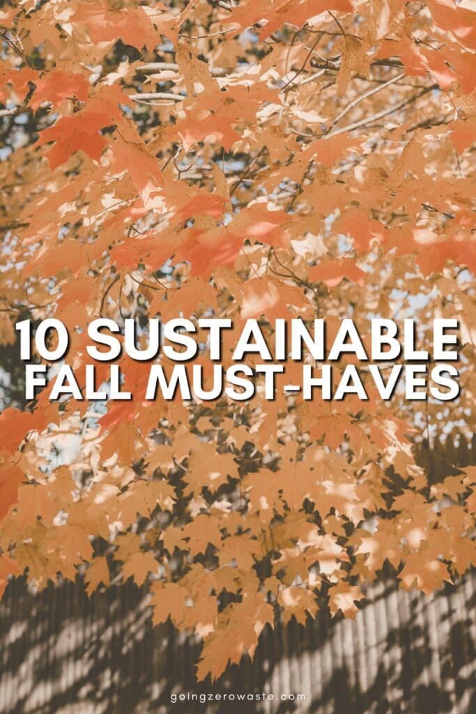 10 Sustainable Fall Must-Haves