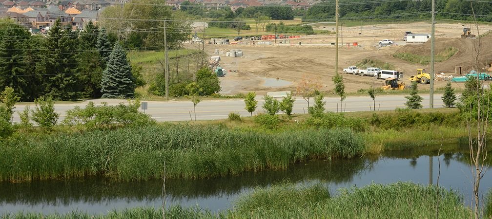 More than 70% of wetlands have been lost in southern Ontario, Subdivision construction across from a small wetland in Aurora, Ontario