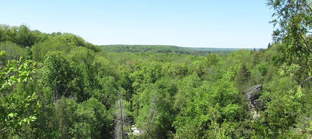 Niagara Escarpment, Owen Sound, Inglis Falls Conservation Area, natural areas, nature havens, environmentally significant area