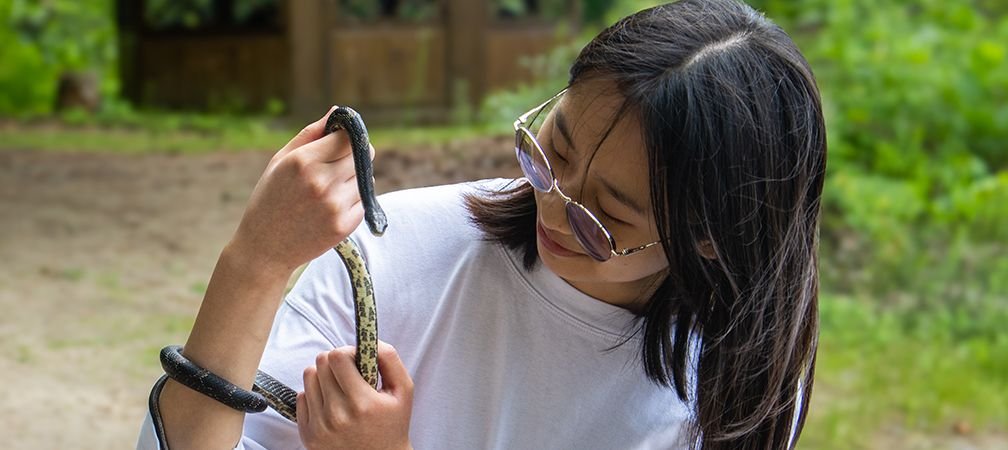 A biology student holding a gray ratsnake, species at risk, a threatened species in Ontario