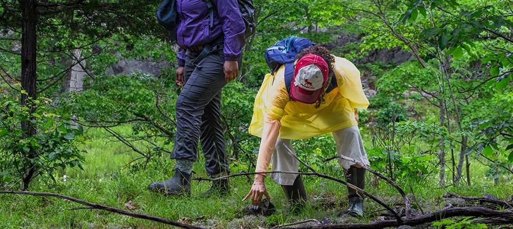 Field Research in Evolution and Ecology Diversified (FREED) workshop participant looking for snakes under cover