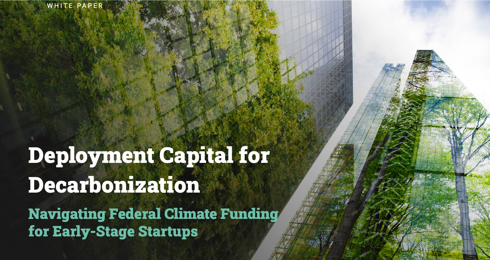 2021 Blackhorn Ventures Annual Impact Report