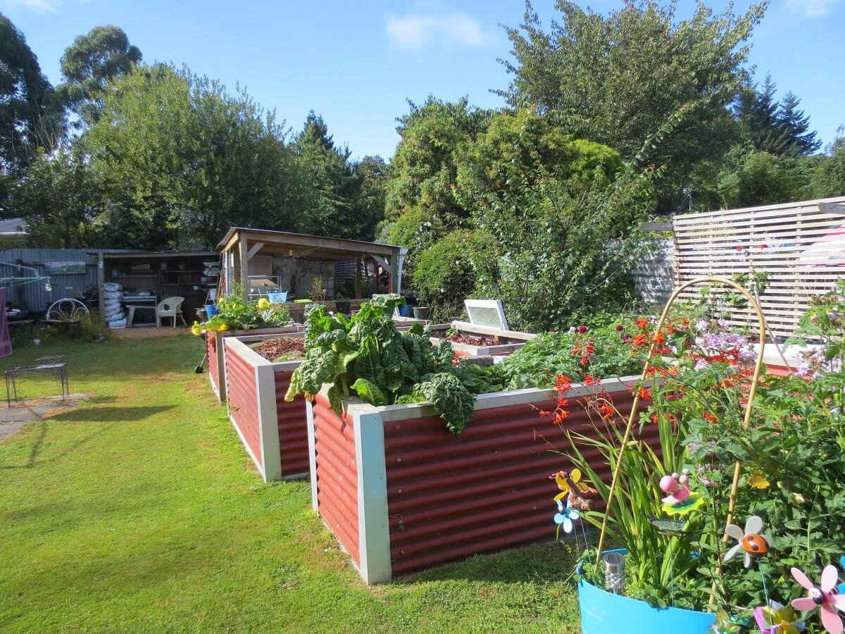 raised garden beds