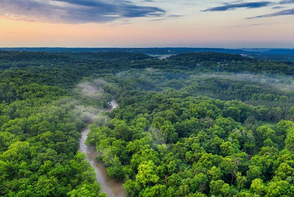 Scenic aerial view of a lush green forest with a river and mist at sunset, showcasing nature's beauty.