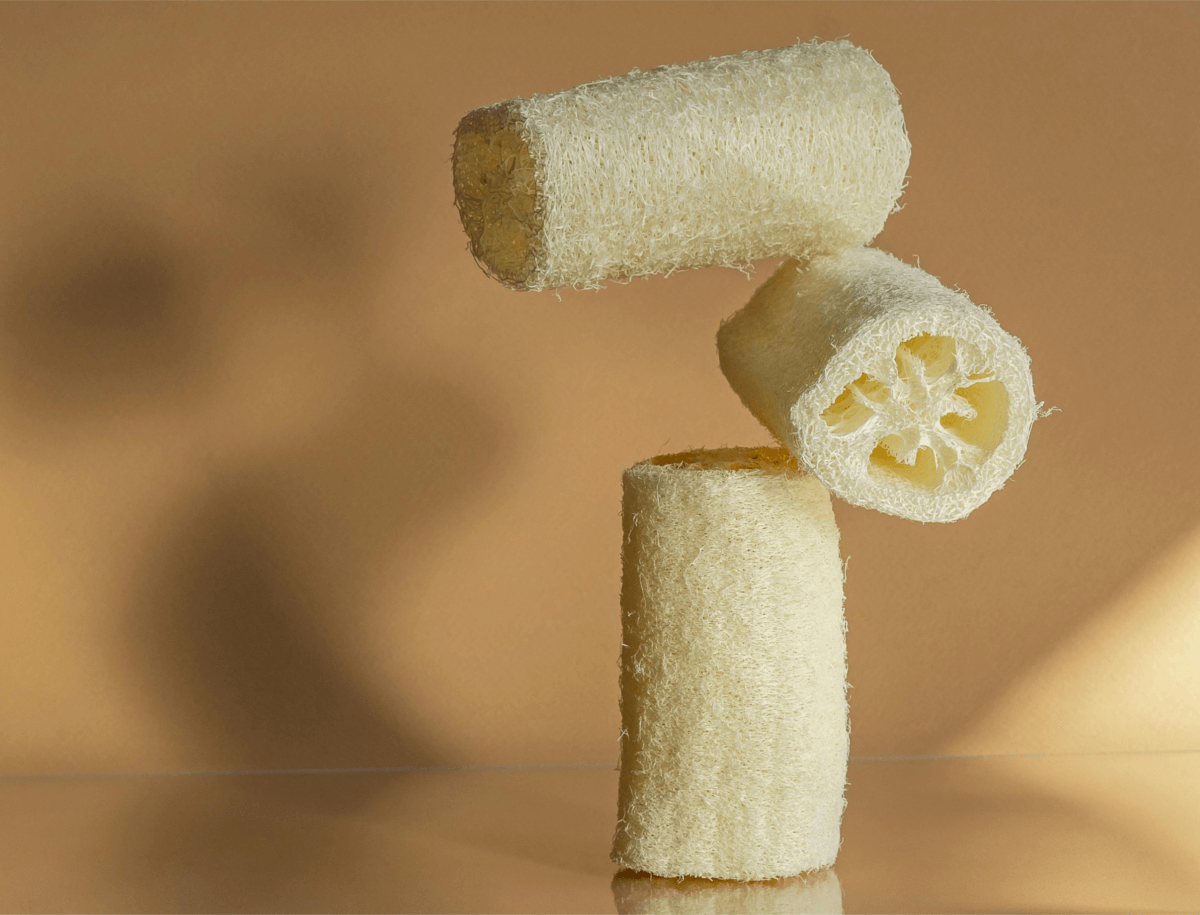 luffa sponge