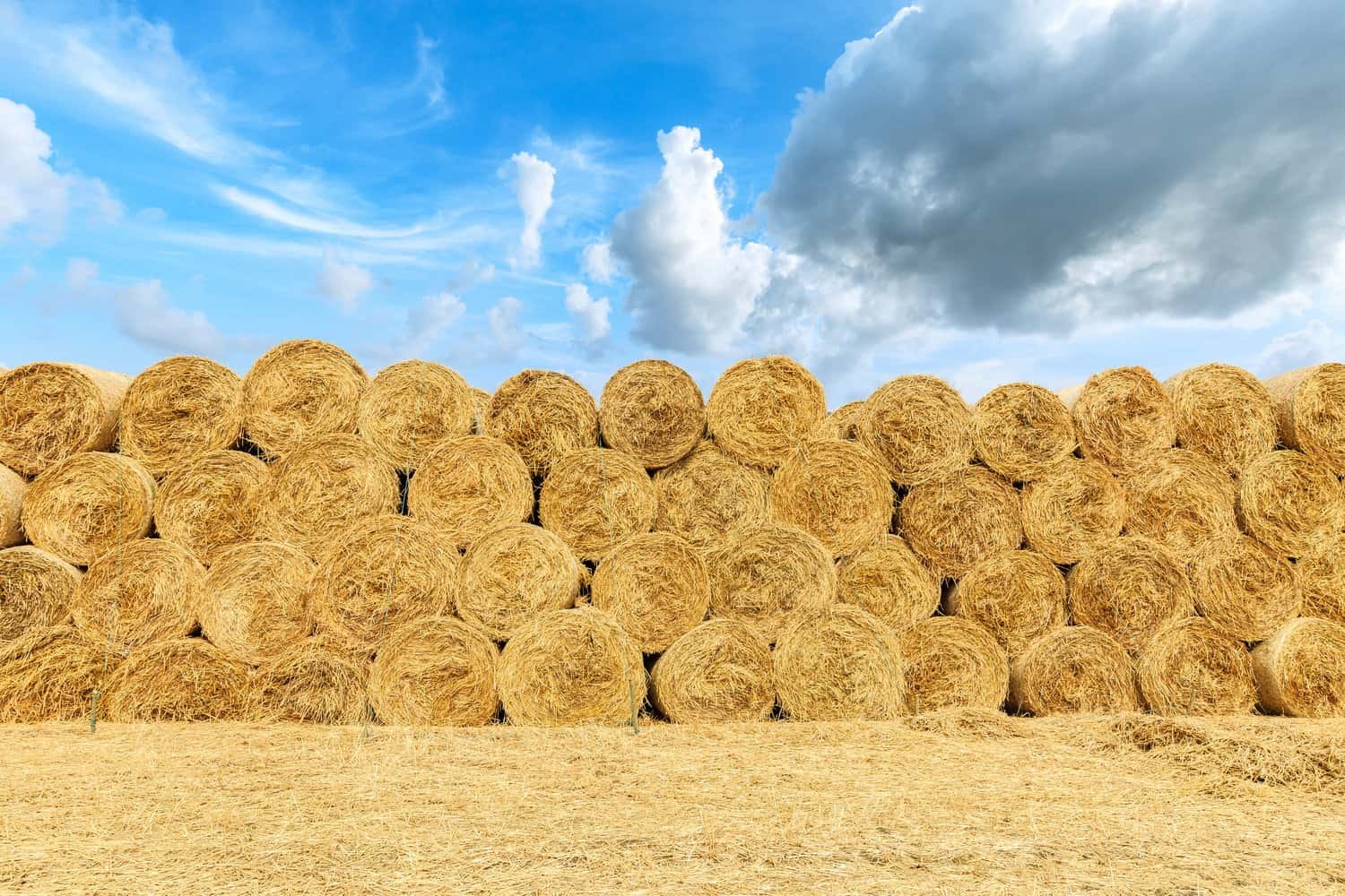 Storing Hay