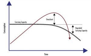 overshoot graph