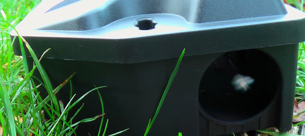 Rodent bait station, these toxins can also accidentally poison or kill non-target wildlife such as owls, hawks and falcons