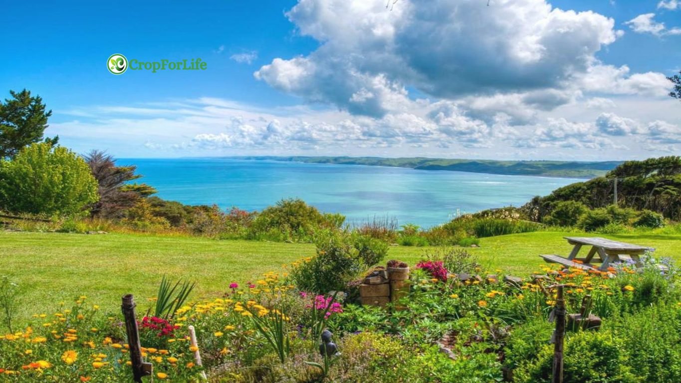Solscape, situated in Raglan, New Zealand, is an eco-accommodation and permaculture project