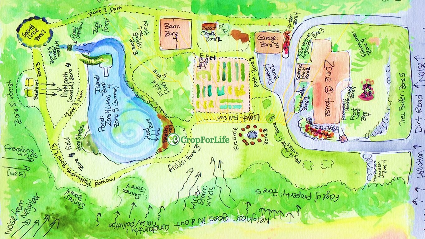What observation means in context of permaculture