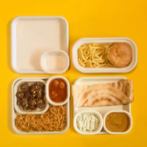 YASH PAKKA - Moulded food serviceware made from sugarcane pulp