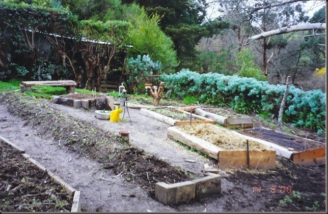 herb garden