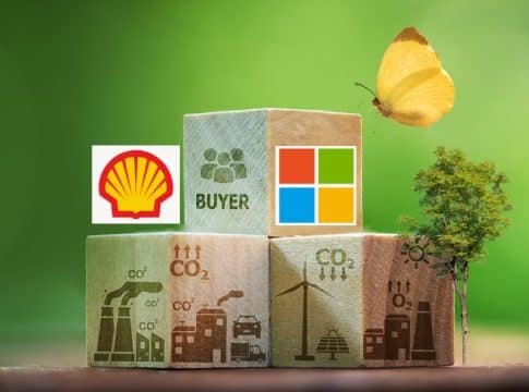 Shell and Microsoft Are The Biggest Carbon Credit Buyers in 2024, What Projects Do They Support?