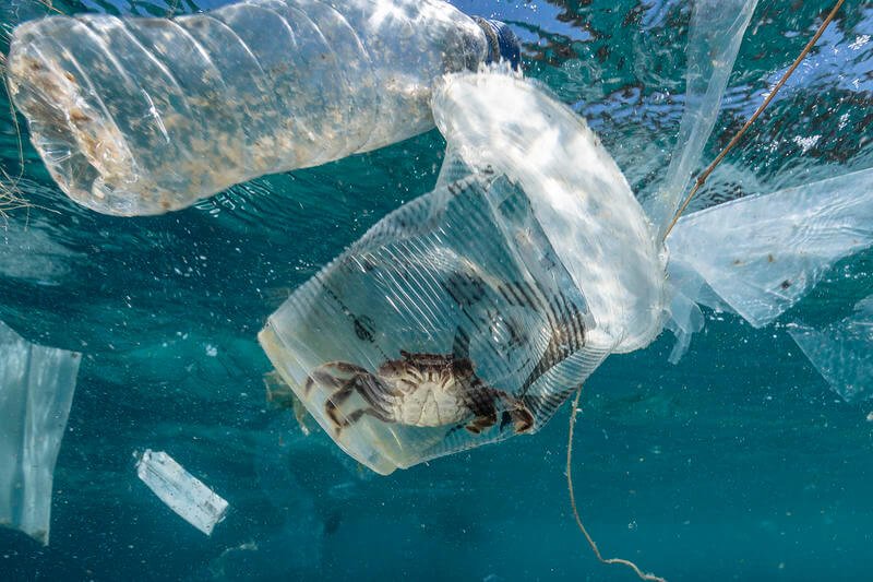 Global plastics treaty Global plastics treaty