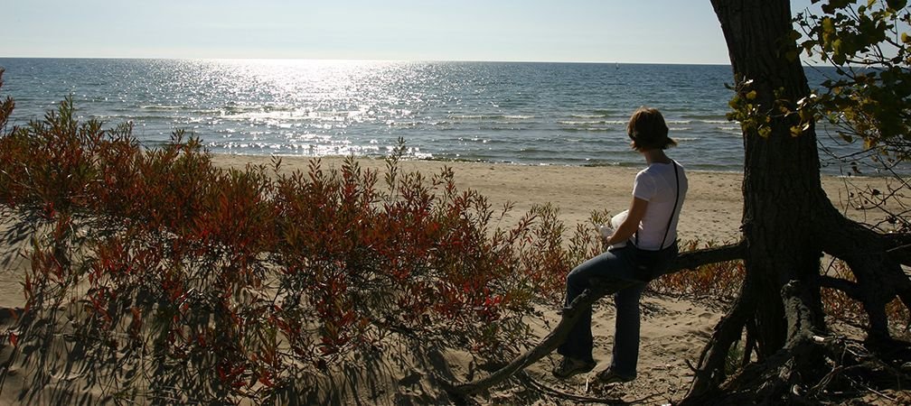 A woman perches on a tree bough, sitting by a beach and near sand dunes, overlooking a scenic Lake Ontario vista