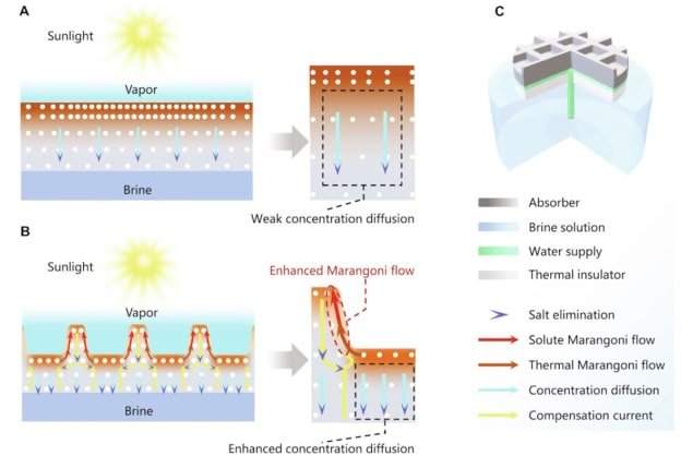 Schematic of waffle-shaped solar evaporator