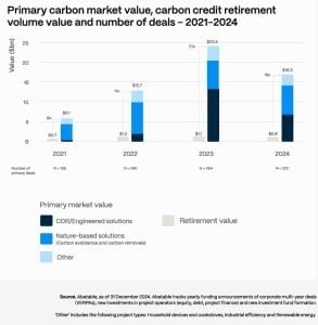 Primary carbon market value