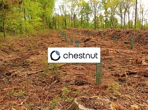 Chestnut Carbon Lands $160M to Supercharge Nature-Based Carbon Credit Market