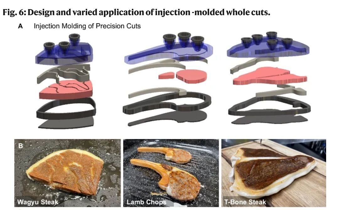 Injection molding for whole cuts. of plant-based meat. Image credit: Nature Communications