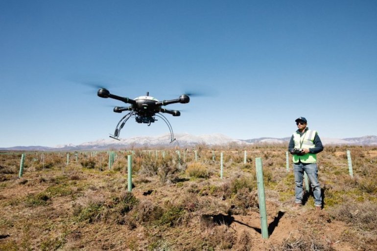 Drone tree planting ecosystem restoration at Land Life Company