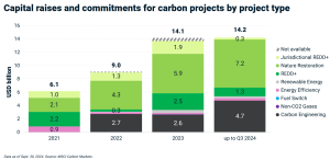 capital raises by carbon credit project type.jpg