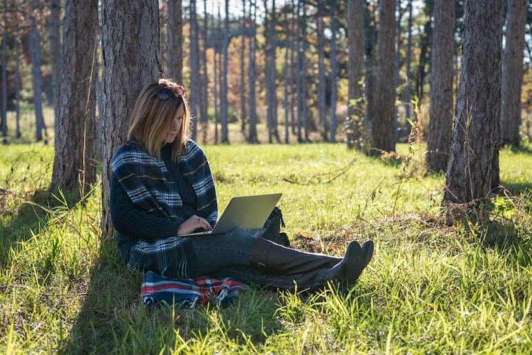 Ecosia search engine users