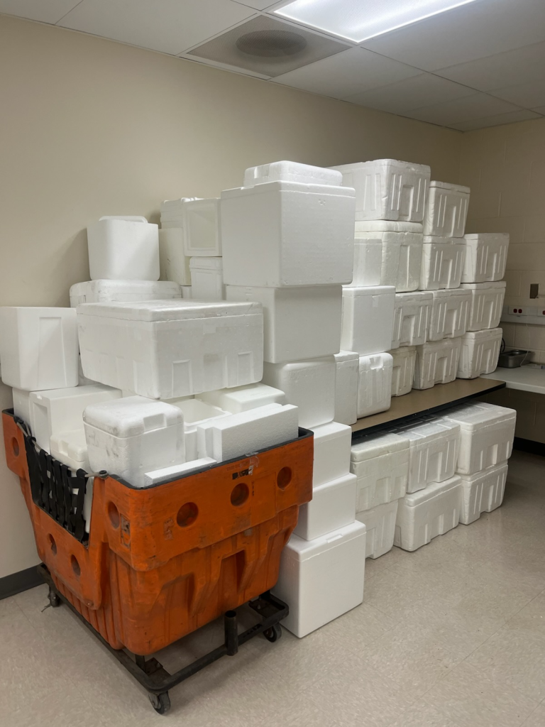 Styrofoam bricks piled in a room for storage.
