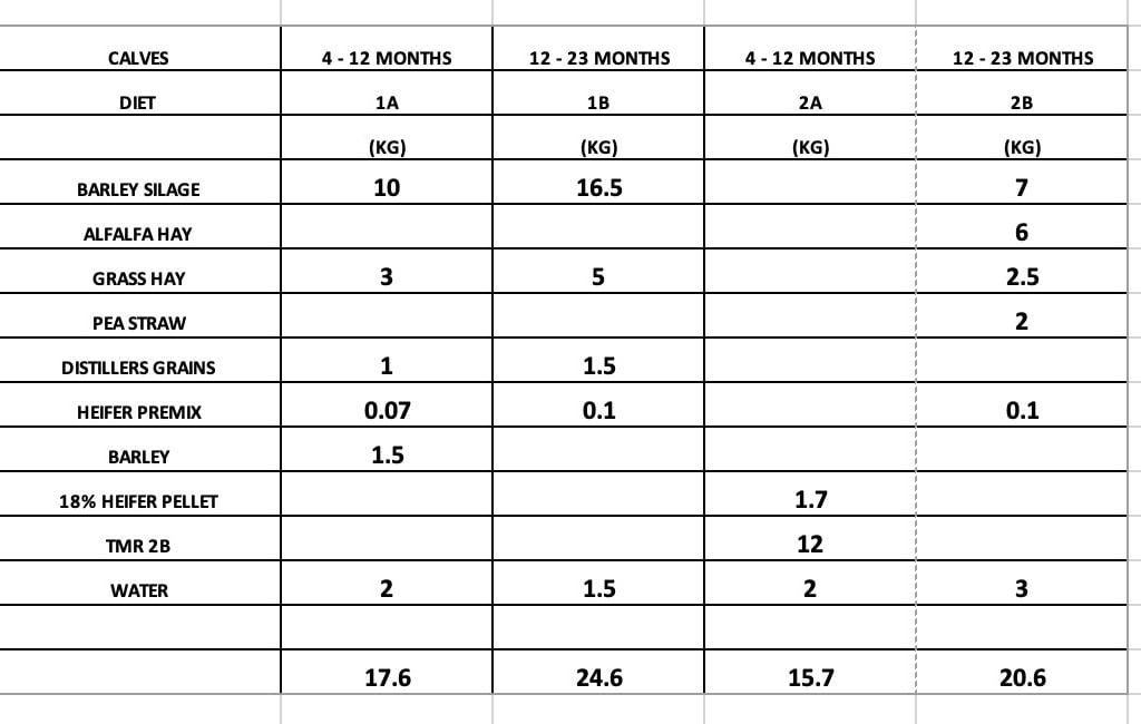 A chart shows two dairy heifer rations with different types of feed.