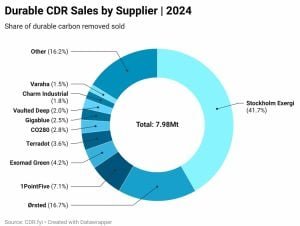 CDR credit sales by supplier 2024