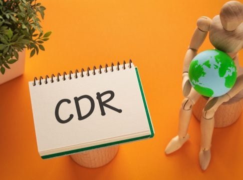 What Is Carbon Dioxide Removal? Top Buyers and Sellers of CDR Credits in 2024