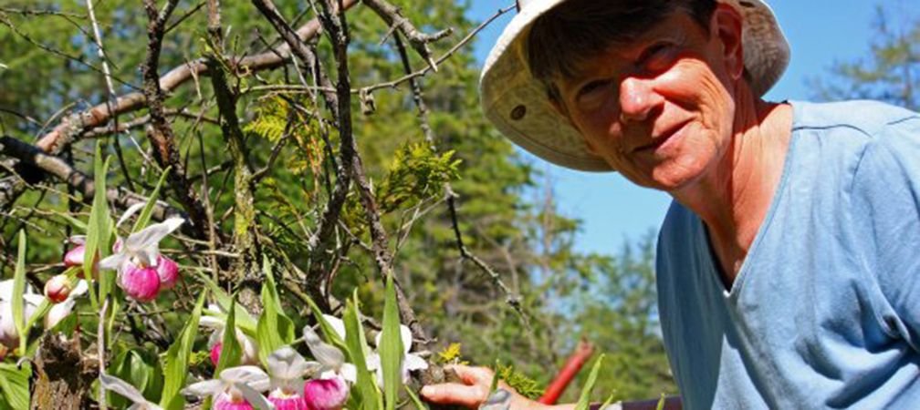 Vida Bain with showy lady's slipper orchids