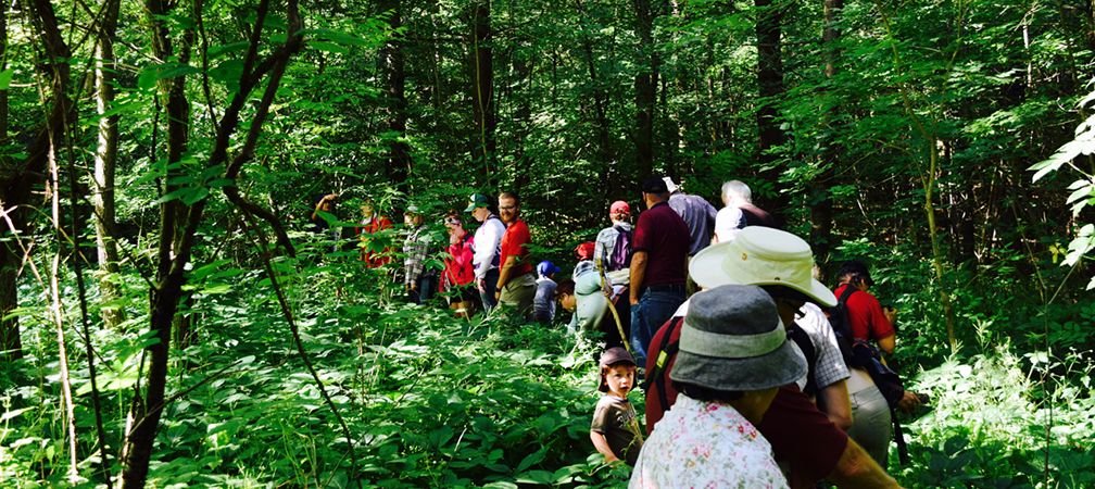 Entryway trail, G.G. Newton Nature Reserve, 2016, citizen science, community science, bioblitz, stewardship, rewilding, protected area, nature reserve, hiking trail, Huron Fringe, species monitoring, species inventory, wildlife count