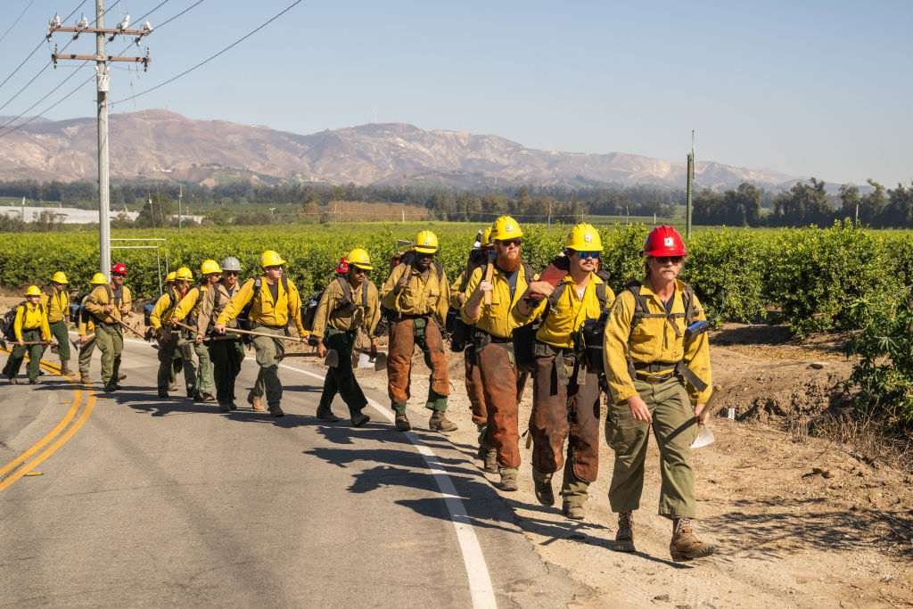 Line of forest service firefighters walking