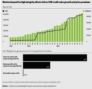 carbon removal credits