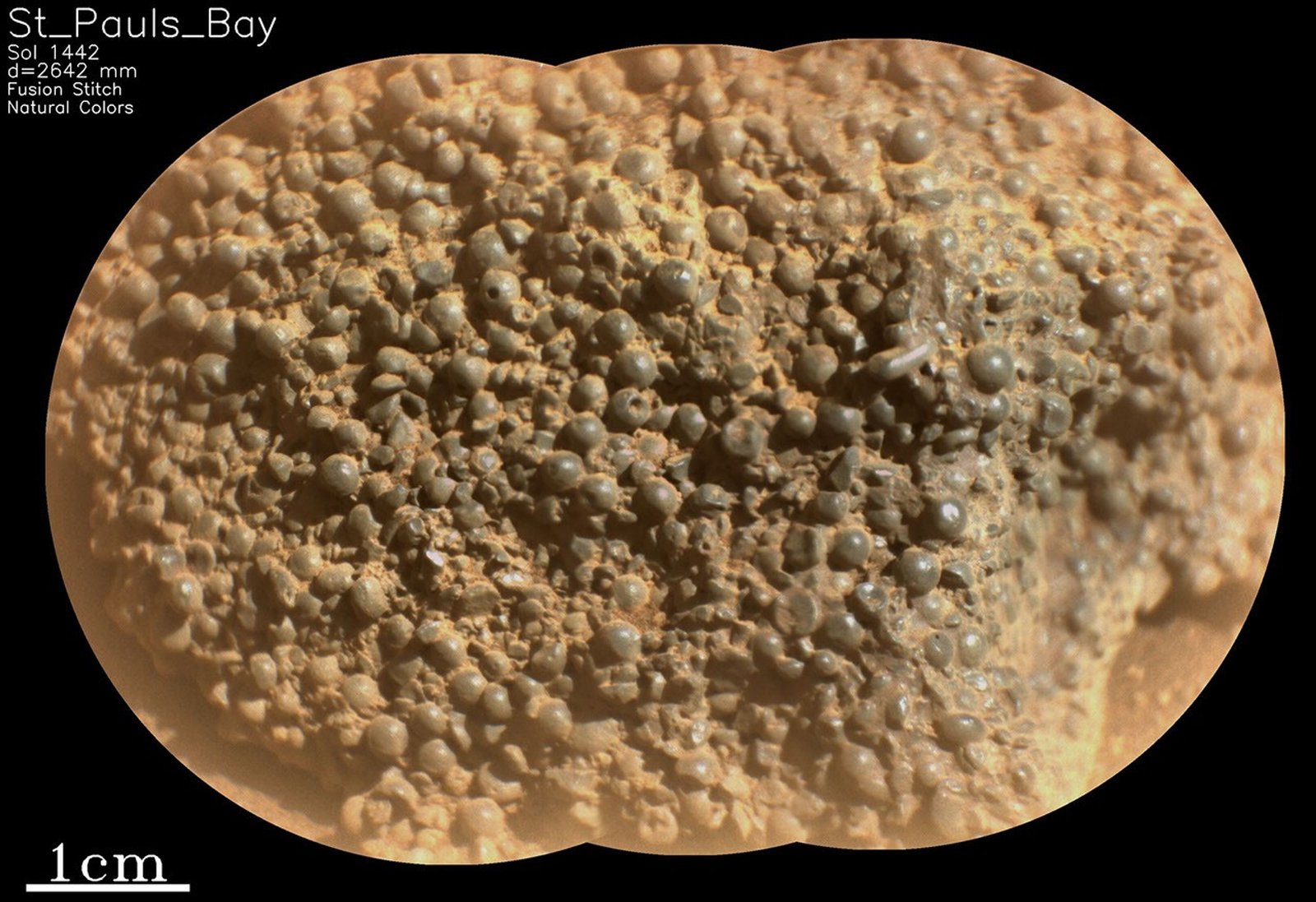 A closeup photo of a Martian rock shows a rough, bubbly texture that ranges in color from pale brownish-orange around the edges, to more gray-tinged orange nearer the center. Many of the bumps or bubbles are spherical, others are crushed or halved, looking like a jar of spilled gray capers, mingled with some creamy, orange-colored sauce.