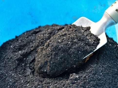 The Biochar Gold Rush: Why Companies Are Scrambling to Lock in Carbon Credits