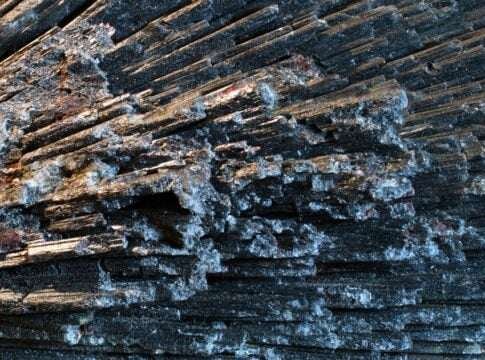 Antimony