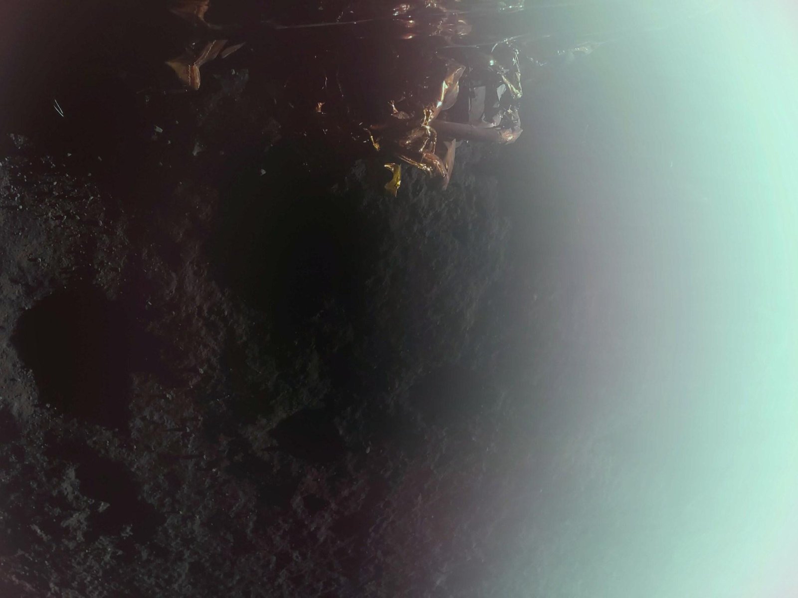 First image captured by Firefly's Blue Ghost lunar lander, taken shortly after confirmation of a successful landing at Mare Crisium on the Moon's near side. This is the second lunar delivery of NASA science and tech instruments as part of the agency's Commercial Lunar Payload Services initiative.
