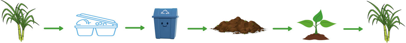 Transformation Process