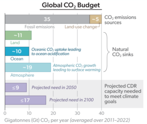 global carbon budget
