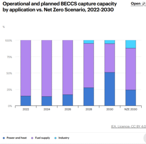 BECCS capture capacity