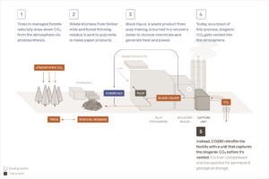 CO280 carbon capture process