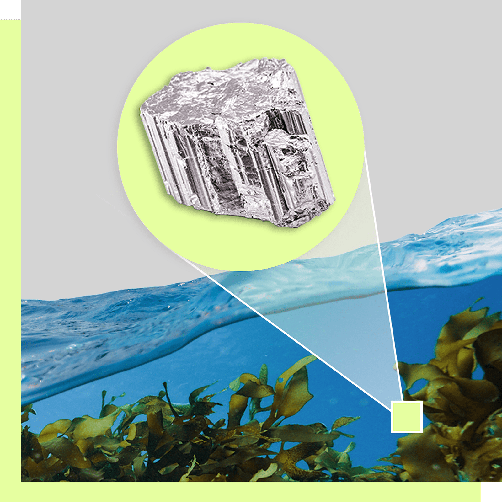 A silver chunk of minerals in a green circle callout pointing to seaweed in the ocean