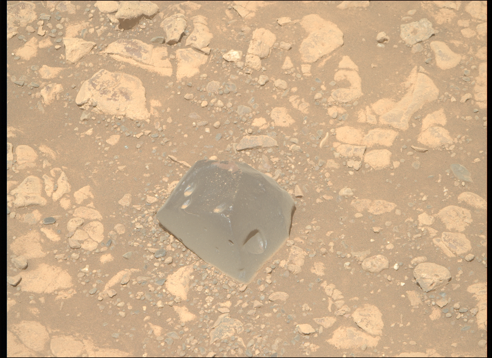 This image from NASA’s Mars Perseverance rover, taken by the Mastcam-Z instrument’s right eye, shows the ‘Skull Hill’ target, a dark-toned float rock.