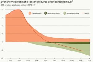 carbon removal pathway to net zero