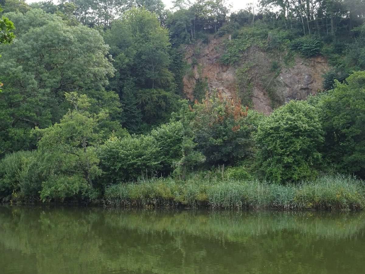 The-River-Dart-in-Totnes
