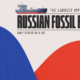 Visualizing the Shift in Russian Fossil Fuel Imports Since Ukraine’s Invasion