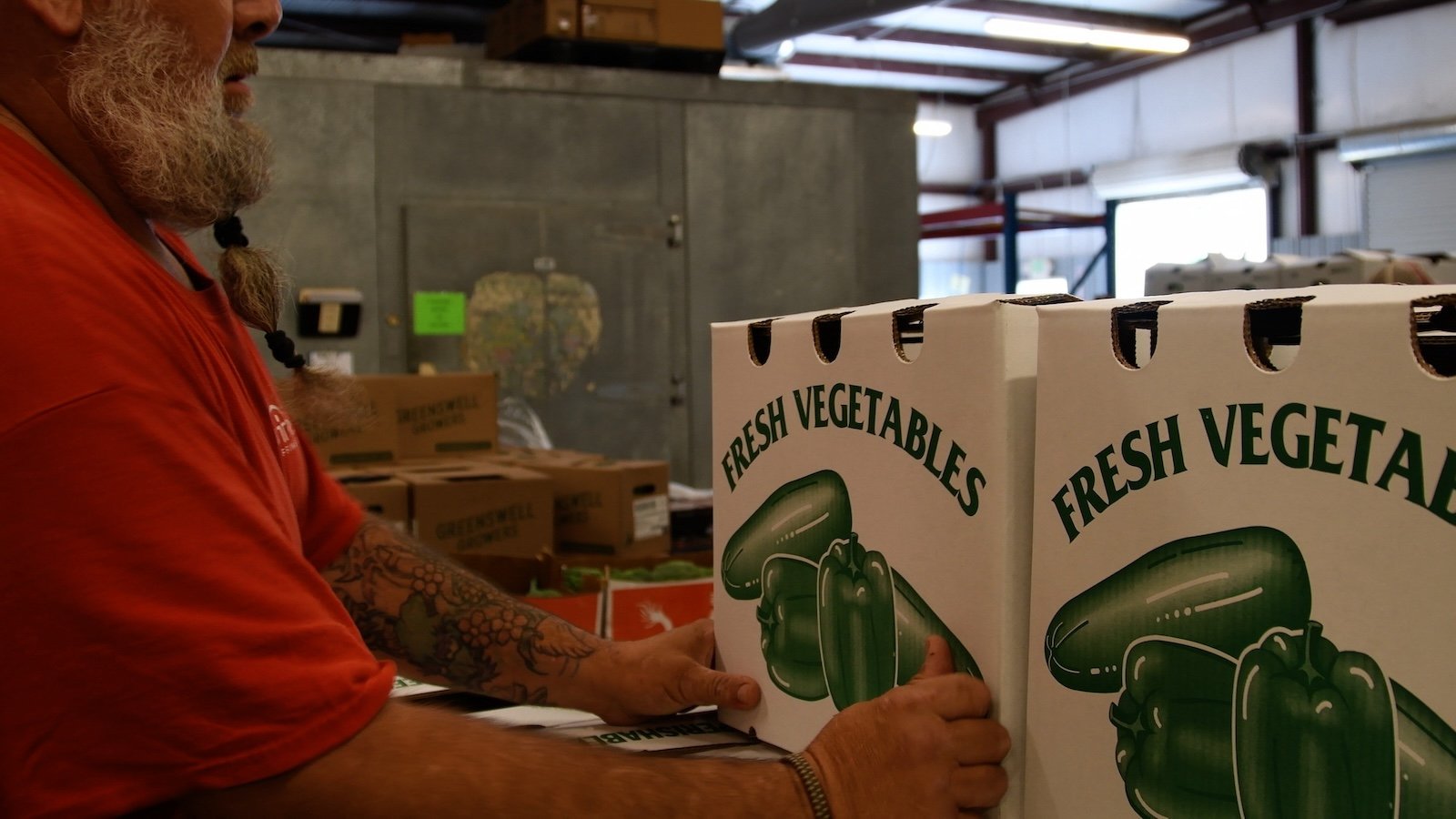 A person packs a food box of fresh vegetables