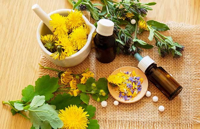 Using dandelions as medicine (The Grow Network)