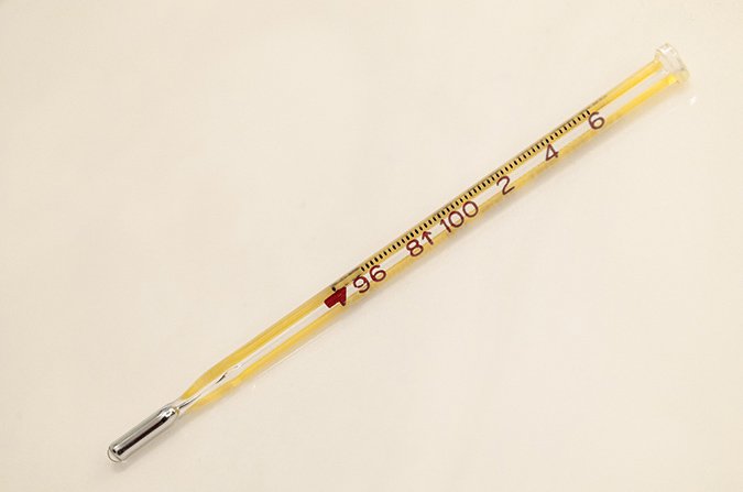 Using dandelions as a fever reducer (The Grow Network)